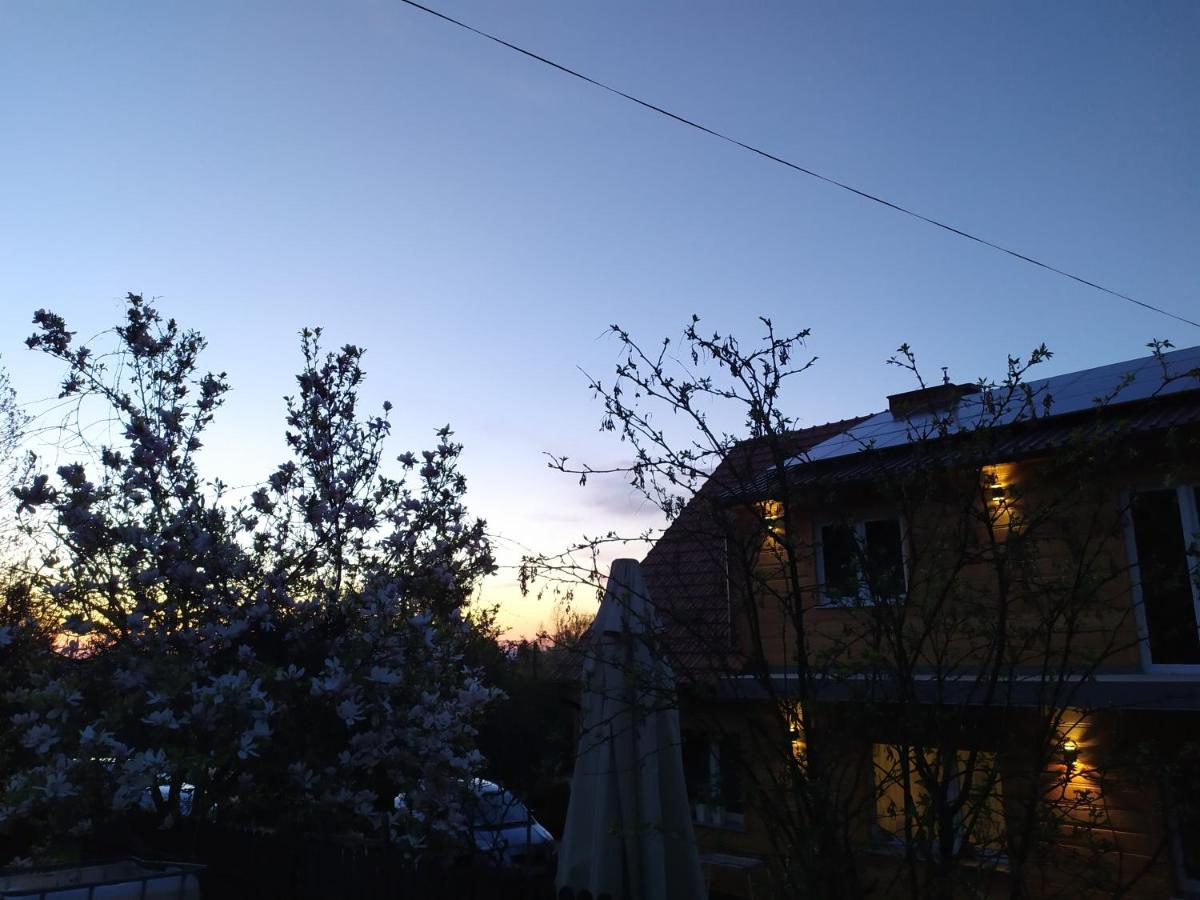 Noclegi Lesniczowka W Lanckoronie 兰茨科罗纳 外观 照片